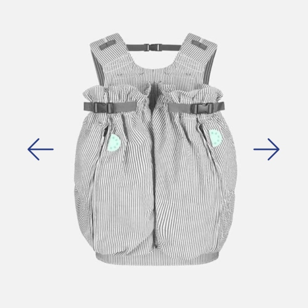 NEW Twin Weegi Carrier